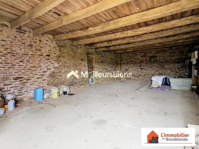 Ancienne grange à rénover – Fort potentiel – Environnement calme