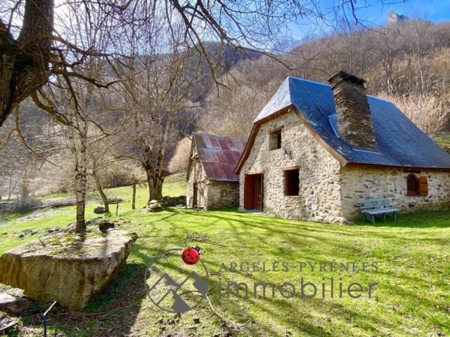 Ancienne grange rénovée avec vue montagne et dépendance Es
