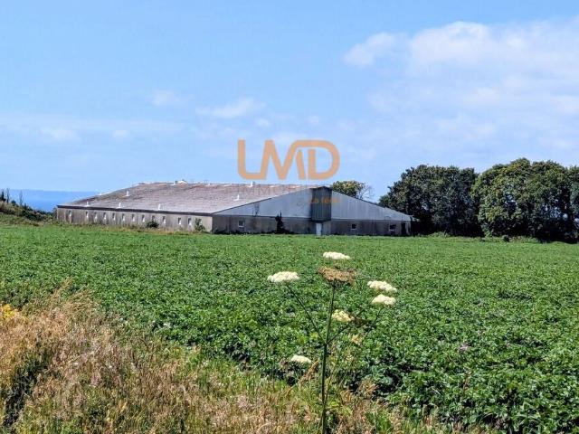 Ancienne Porcherie et Terrain Agricole