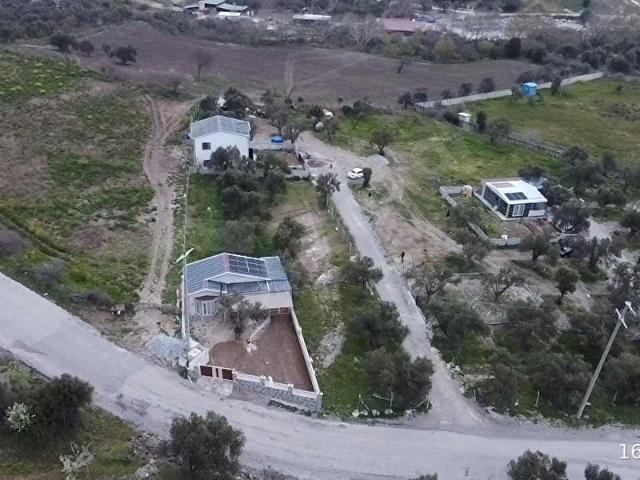ÇANDARLI MERKEZDE YATIRIMLIK DEĞERLİ BÖLGEDE SATILIK ZEYTİNLİK