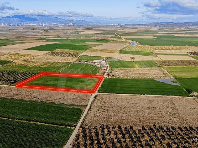 ÇANDARLI KIRANTOĞLU MEVKİ'NDE DÖRTYOL AĞZINDA SATILK TARLA