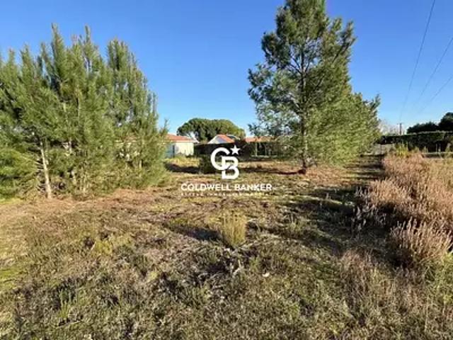 Andernos les Bains 33510 Achat / Vente terrain