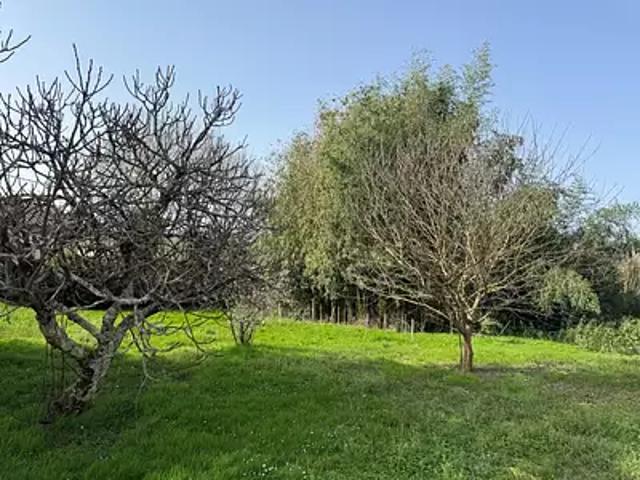 Andernos les Bains 33510 Programme neuf terrain neuf à vendre