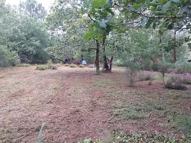 Andernos les Bains 33510 Programme neuf terrain neuf à vendre
