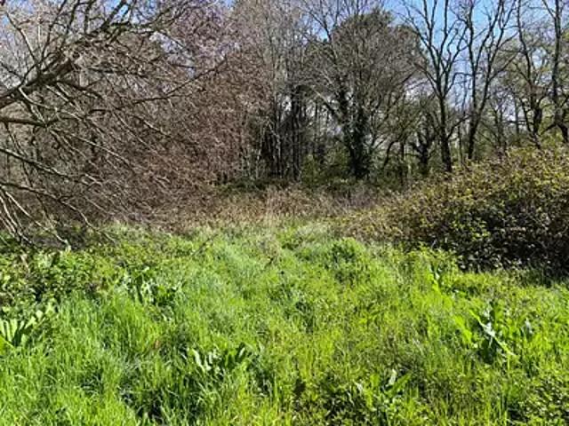 Andernos les Bains 33510 Programme neuf terrain neuf à vendre