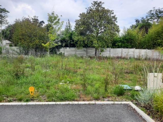 Andernos les Bains Vente Terrain 33