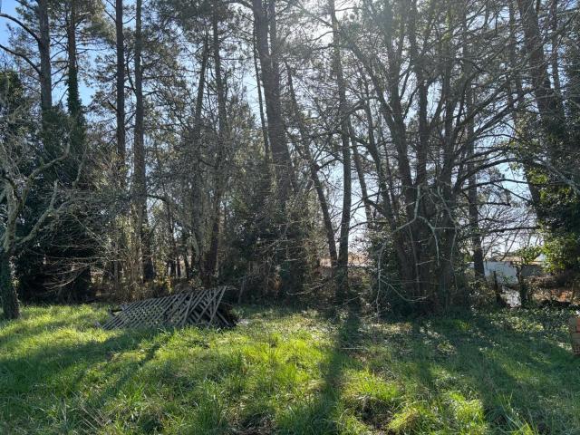 Andernos les Bains Vente Terrain 33