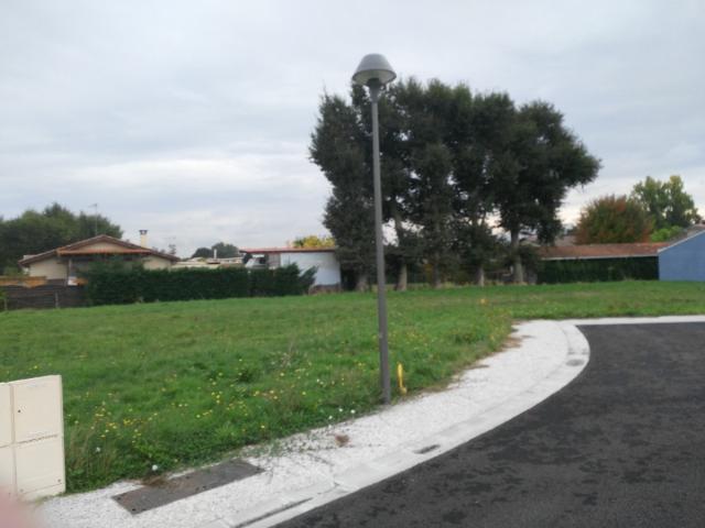 Andernos les Bains Vente Terrain 33