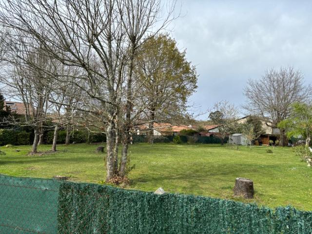 Andernos les Bains Vente Terrain 33