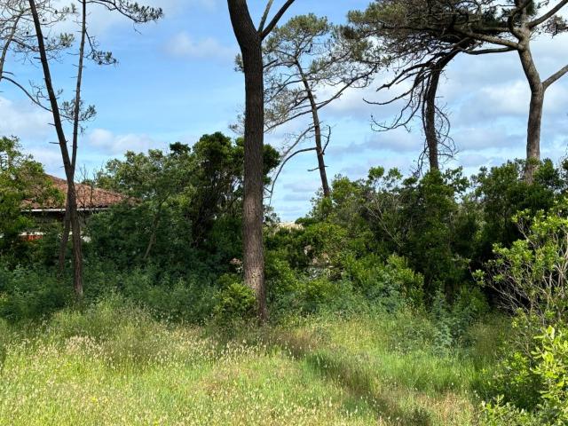 Andernos les Bains Vente Terrain 33