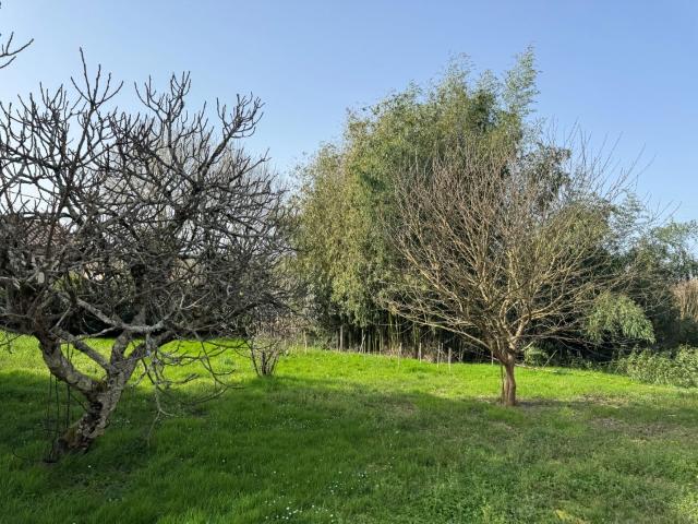 Andernos les Bains Vente Terrain 33
