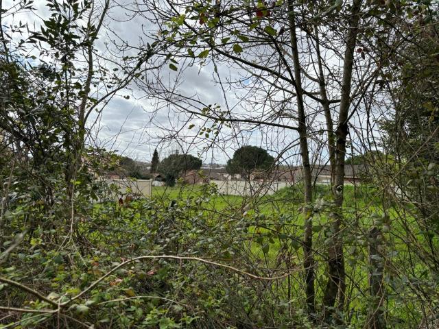 Andernos les Bains Vente Terrain 33