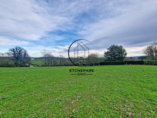 Andrein Vente Terrain 64