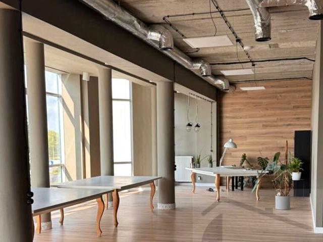 Andrzeja Struga 450 m², Szczecin