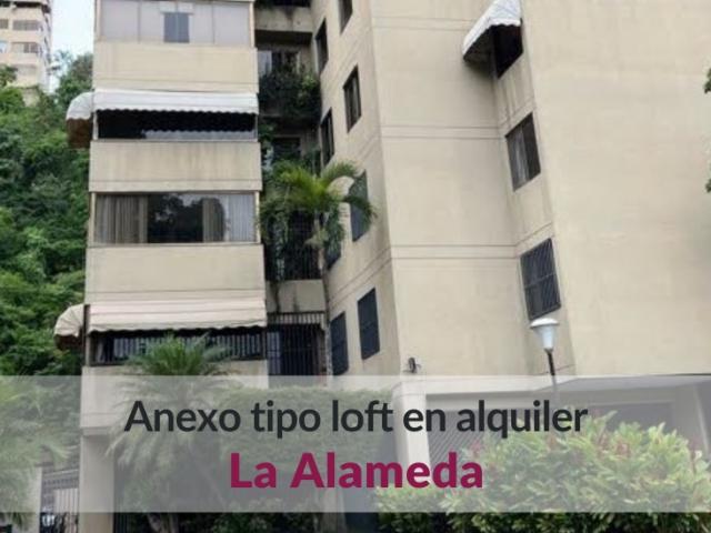 Anexo tipo Loft en alquiler en La Alameda