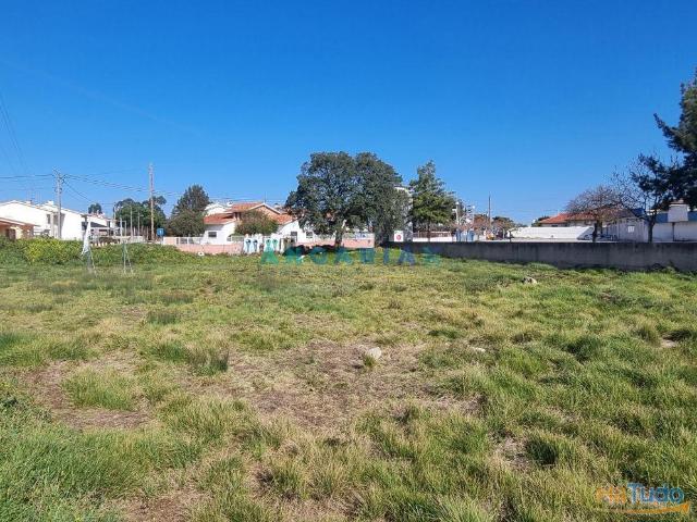 ANG726 Terreno de 2500m2 para Venda em Porto de Mós | 26063968836