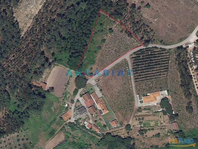 ANG1017 Terreno de 4174m2 à Venda em Maceira, Leiria | 26063720153