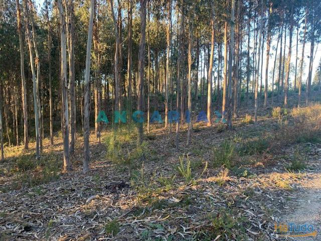 ANG109 Terreno para Construção para Venda em Arrabal | 26063968799