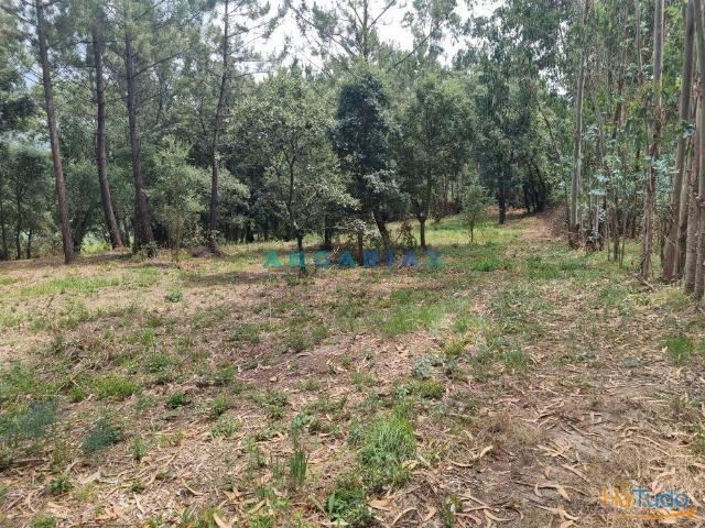 ANG1153 Terreno para Venda em Porto de Mós | 26063925198