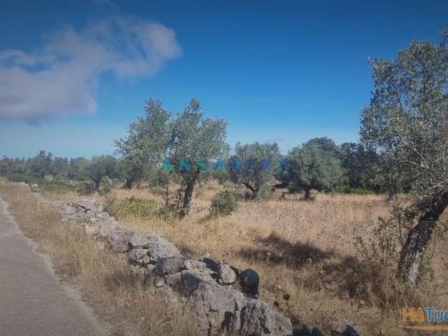 ANG1195 Terreno para Venda em Alcanena, Santarém | 26073925209