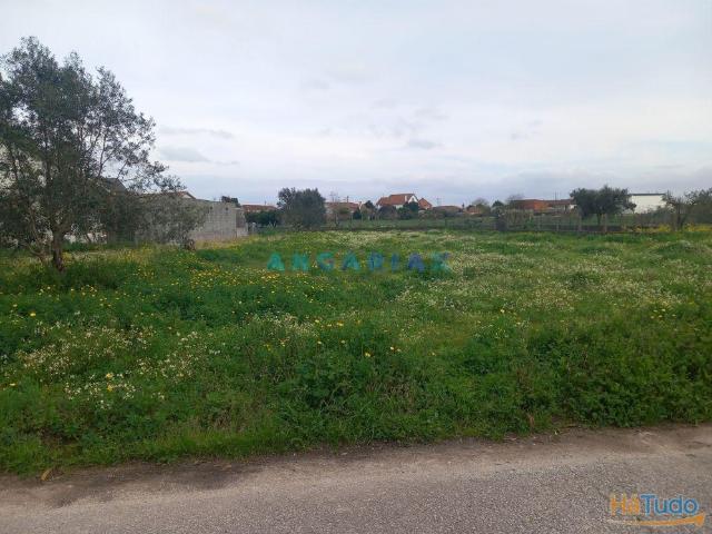 ANG1601 Terreno para Venda em Vermoil, Pombal | 26064087209