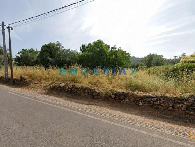 ANG1625 Terreno para Venda em Alvaiázere, Leiria | 26064093174