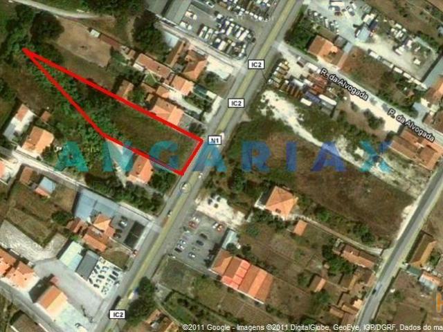 ANG319 Terreno com 2000m2 para Venda em São Jorge | 26063968813