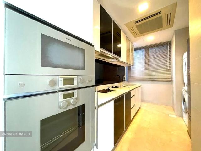 Angullia Park Residences @ Orchard D10, Apartment