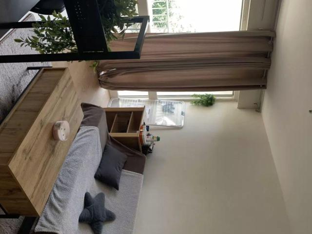 Angers Location Appartement 49
