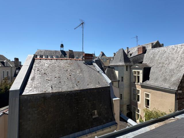 Angers Vente Appartement 49