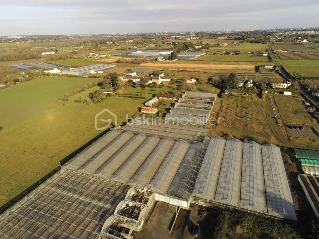 Angers Vente Terrain 49