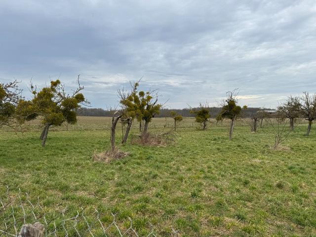Angerville la Campagne Vente Terrain 27