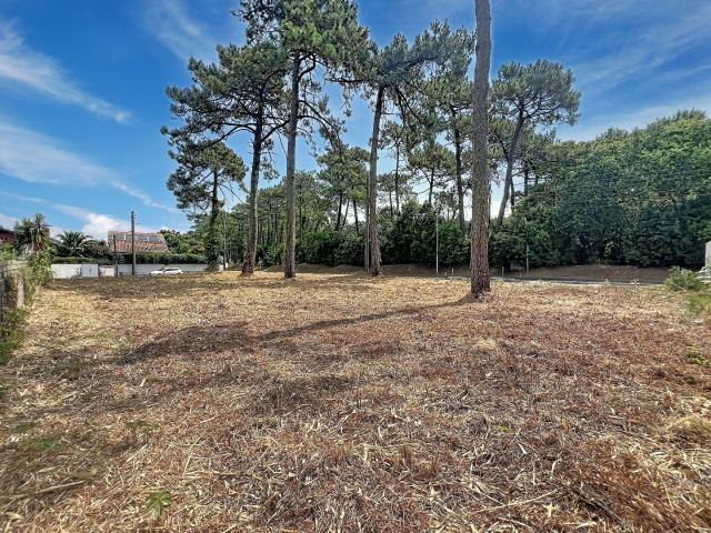 Anglet Vente Terrain 64