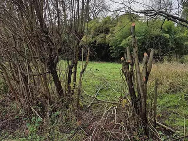 Angoulême 16000 Programme neuf terrain neuf à vendre