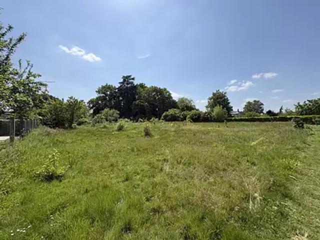 Angrie 49440 Achat / Vente terrain