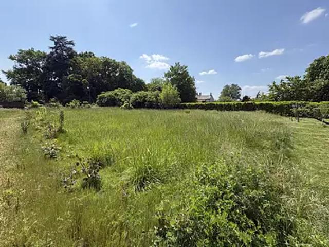 Angrie 49440 Achat / Vente terrain