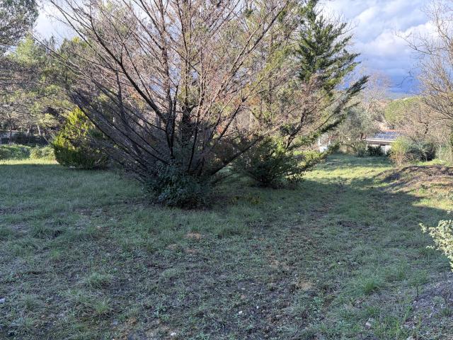 Aniane Vente Terrain 34