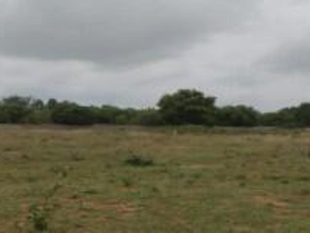 Anighatta Residential Plot For Sale Bengaluru
