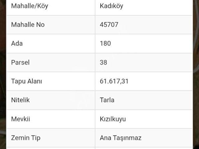 ANKA'DAN KADIKÖY'DE 62 DÖNÜM TEK KÖK TAPU TABAN TARLA