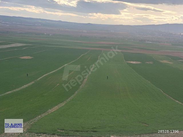 ANKARA 40 KM. ESKİŞEHİR ANA YOLA ÇOK YAKIN 2507 M2 TEK TAPU İMARLI