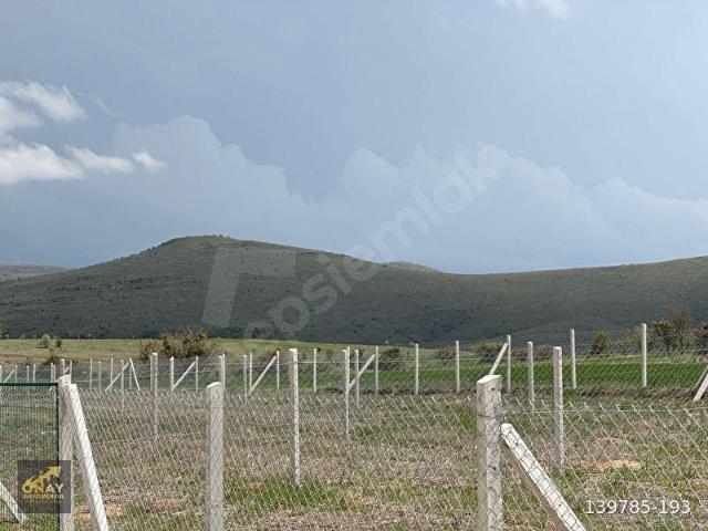 ANKARA CUBUK SELE MAHALLESİNDE 250 500 M2 KARELİK SU TRL ÖRGÜ SOKAK AYDINLATMA ASFALT YOL HOBİ BAHCE