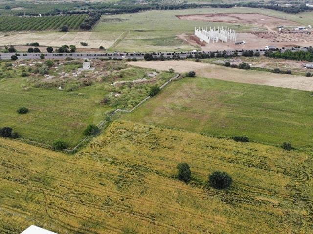 ANKARA ASFALTINA CEPHELİ GIDA ÇARŞISI KARŞISI SATILIK TARLA