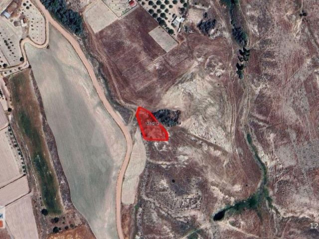 ANKARA AYAŞ ILICA'DA 1.150,00 m PLANSIZ ALAN
