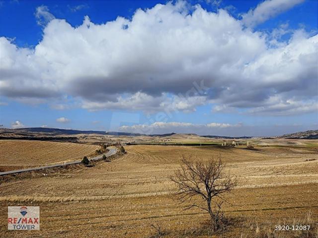 ANKARA ELMADAĞ KARACAHASAN YOLA CEPHE KÖK TAPU 37 DÖNÜM TARLA