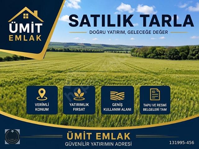 ANKARA SİNCAN TEMELLİ BACI MAH 750M2 SATILIK TARLA