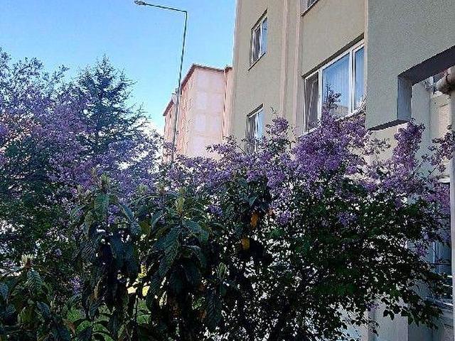 ANKARA SİNCAN YENİKENT TOKİ İLKSAN KONUTLARINDA YÜKSEK GİRİŞ 3+1 SATILIK DAİRE