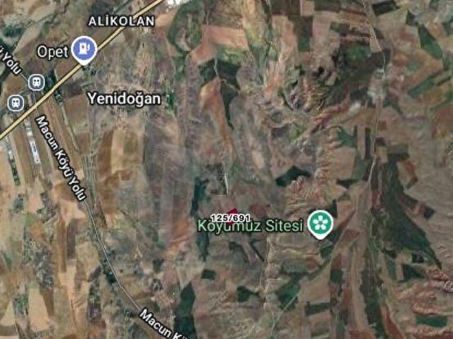 Ankara Polatlı Macun Mahallesi 17.129 m2 Satılık Tarla