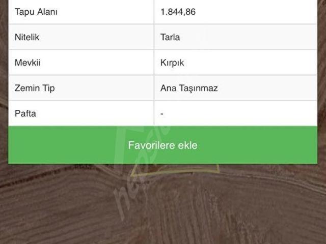 Ankara Polatlı Yeni Mehmetli Köyünde 1.845 m Tek Parsel Tarla