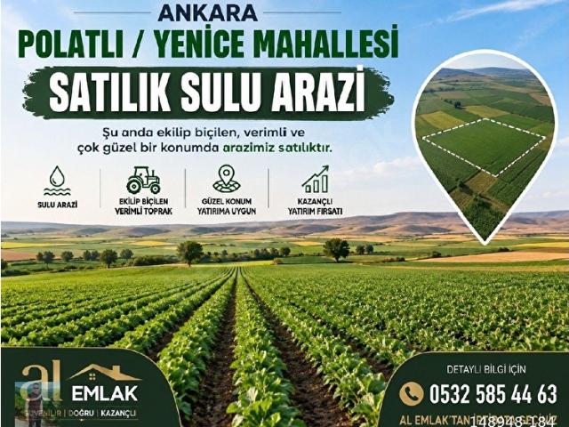 Ankara Polatlı Yenice Mahallesi'nde satılık sulu arazi