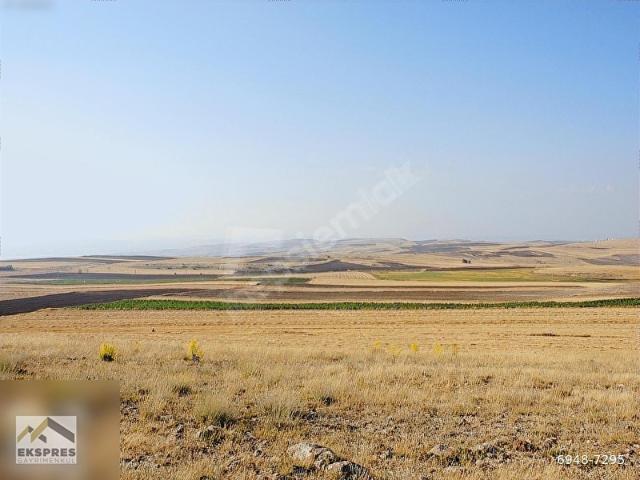 ANKARA POLATLI BEYCEĞİZ KÖYÜN DE TEK PARÇA TARLA